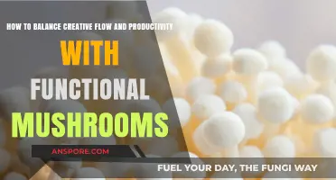 Enhance Creative Flow with Functional Mushrooms