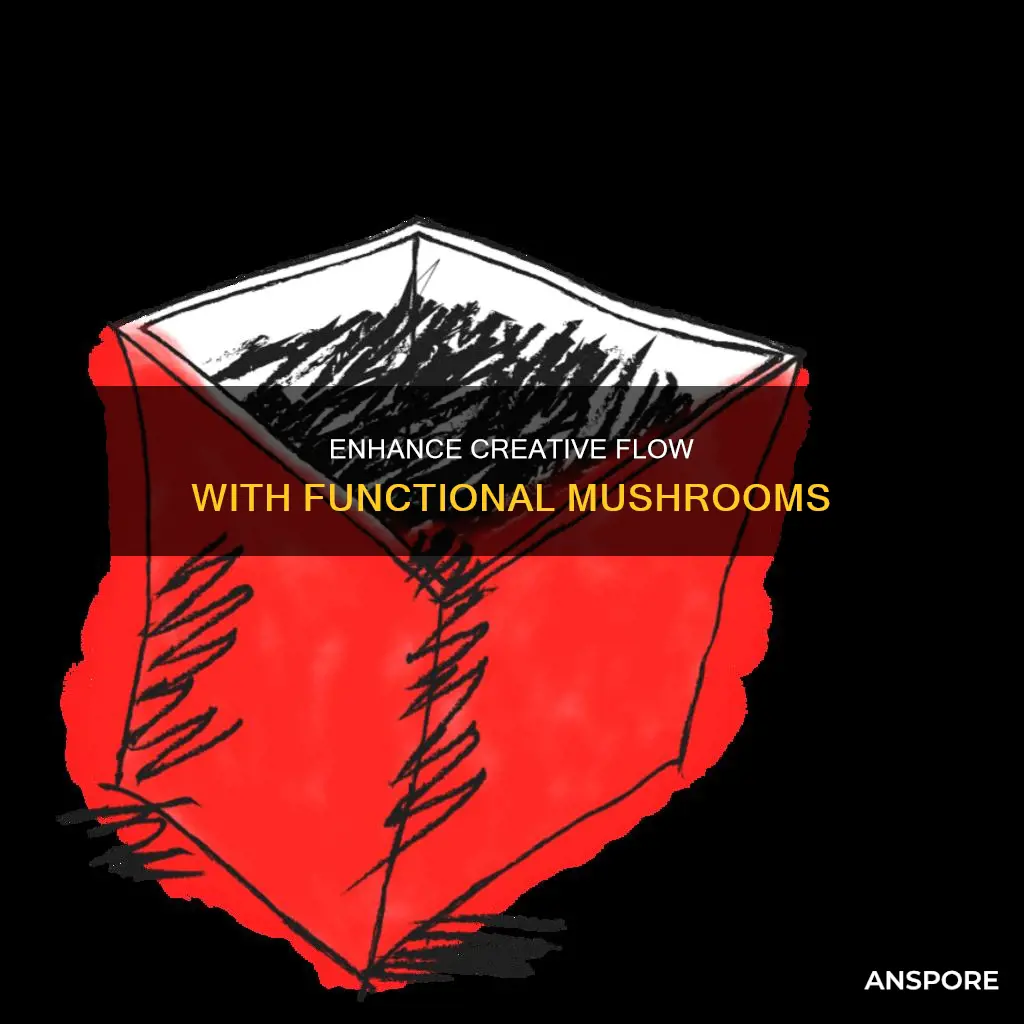 how to balance creative flow and productivity with functional mushrooms