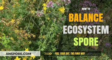 Mastering Ecosystem Balance: Tips for Thriving Spore Environments