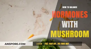 Balancing Hormones: The Power of Medicinal Mushrooms