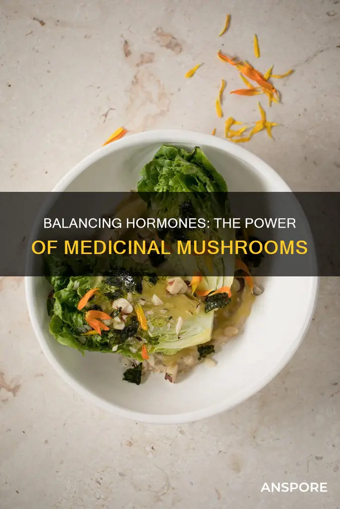 how to balance hormones with mushrooms