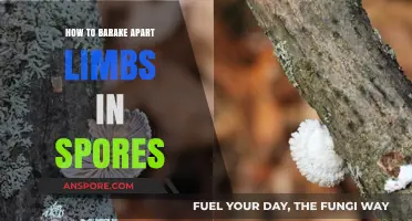 Mastering Limb Separation in Spore: A Step-by-Step Guide to Custom Creations