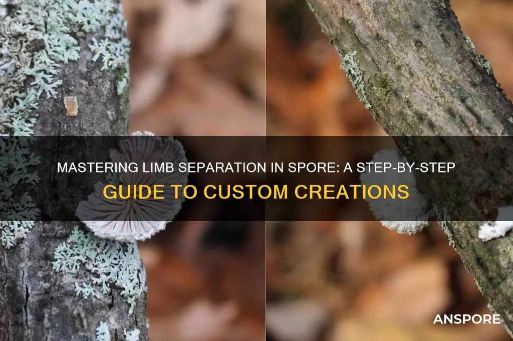 how to barake apart limbs in spores