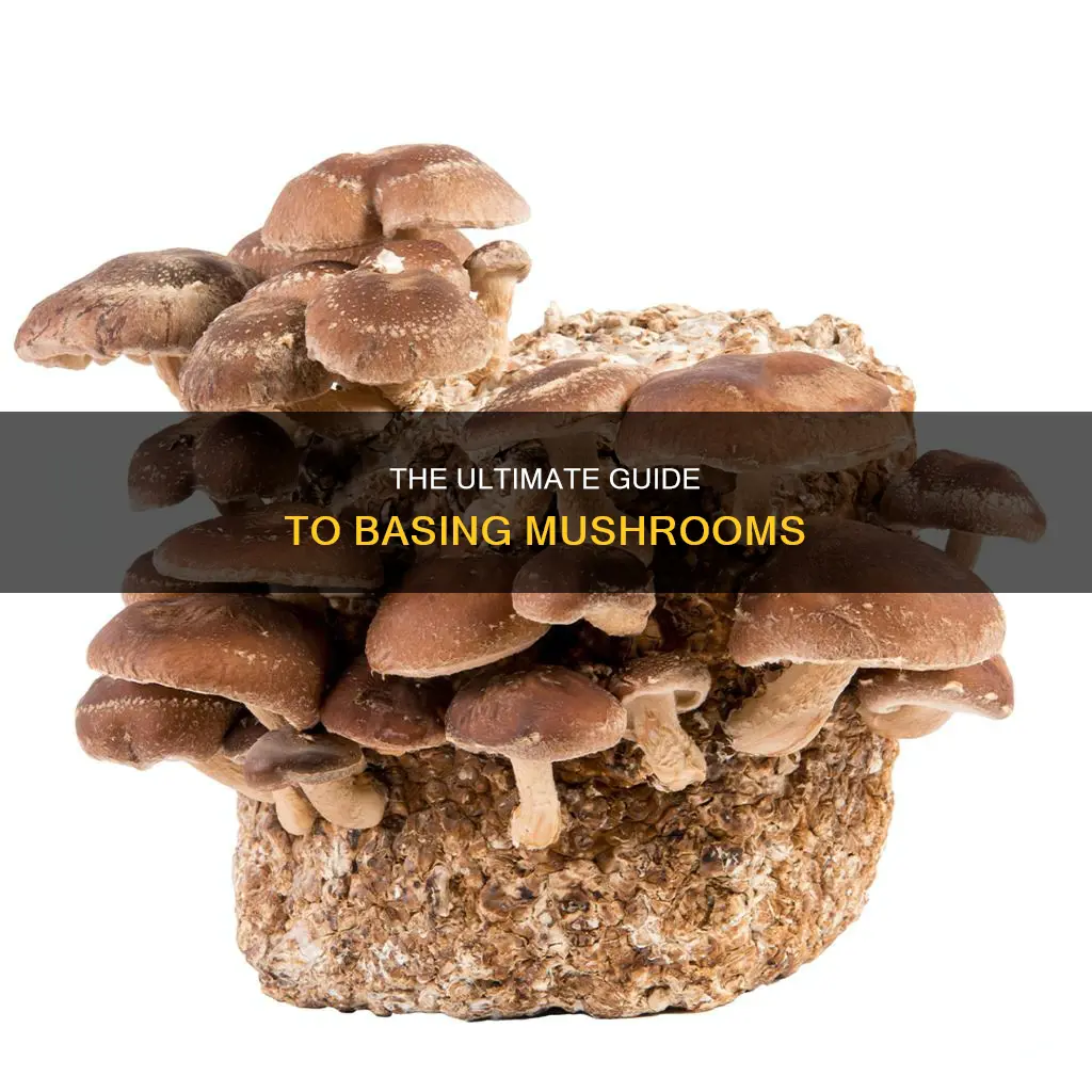 how to base mushrooms