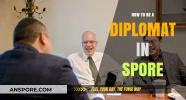 Mastering Diplomacy: A Comprehensive Guide to Becoming a Diplomat in Singapore