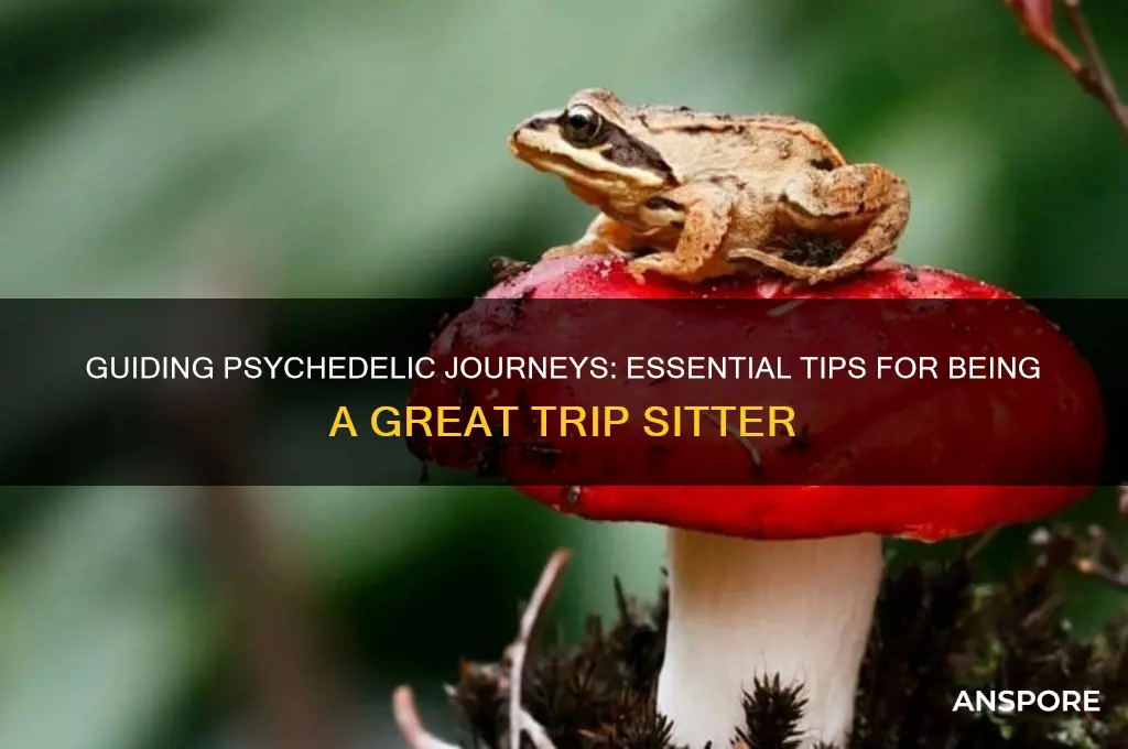 how to be a good mushroom trip sitter