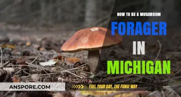 Mushroom Foraging in Michigan: A Beginner's Guide