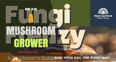 Mastering Mushroom Cultivation: A Beginner's Guide to Growing Fungi