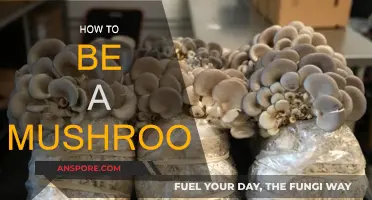 The Ultimate Guide: Living as a Mushroom