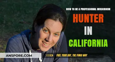 Mushroom Hunting: A Professional Guide for Californians