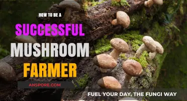 Mushroom Farming: Secrets to Success