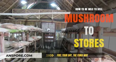 Selling Mushrooms: Getting Your Product on Store Shelves