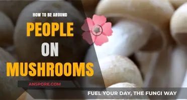 Mushroom Trips: Guide for Socializing Safely