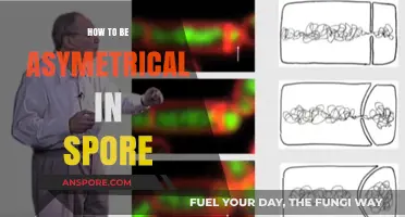 Mastering Asymmetry in Spore: Creative Tips for Unique Creature Designs