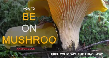 Mushroom Tripping: A Guide to Safe Exploration