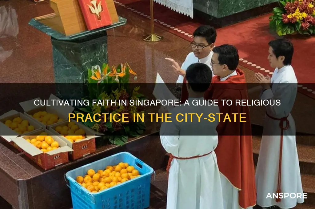 how to be religious in spore