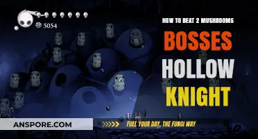 Defeating Two Mushroom Bosses in Hollow Knight