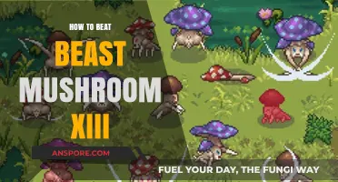 Strategies to Defeat Beast Mushroom XIII