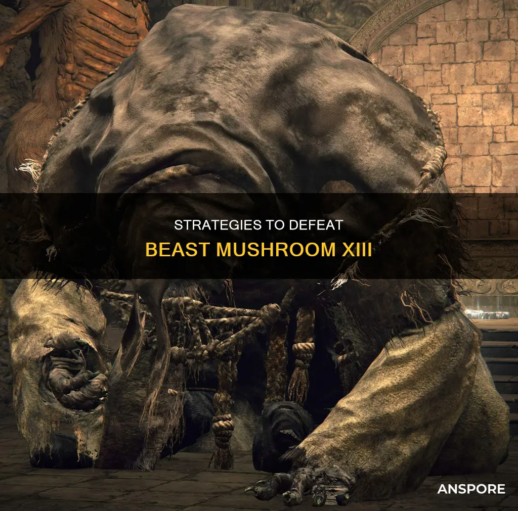 how to beat beast mushroom xiii