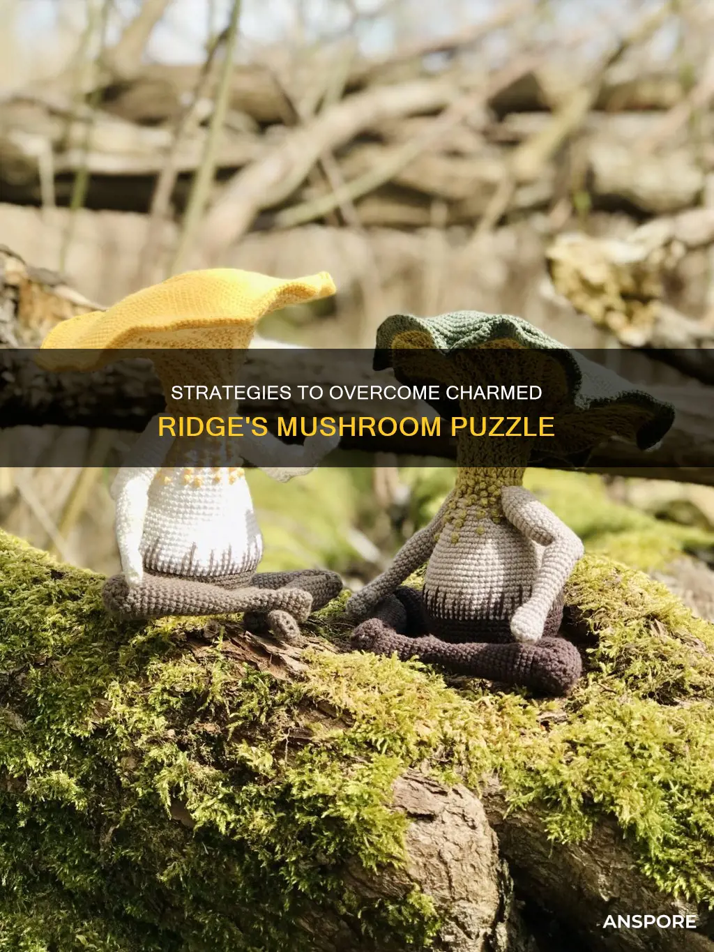 how to beat charmed ridge mushroom puzzle