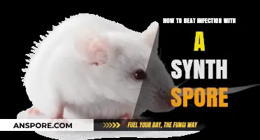 Combat Infections Effectively: Mastering Synth Spore Treatment Strategies