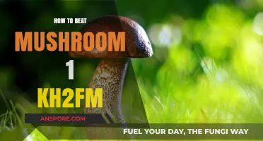 Defeating Mushroom 1 in KH2FM: Strategies and Tips