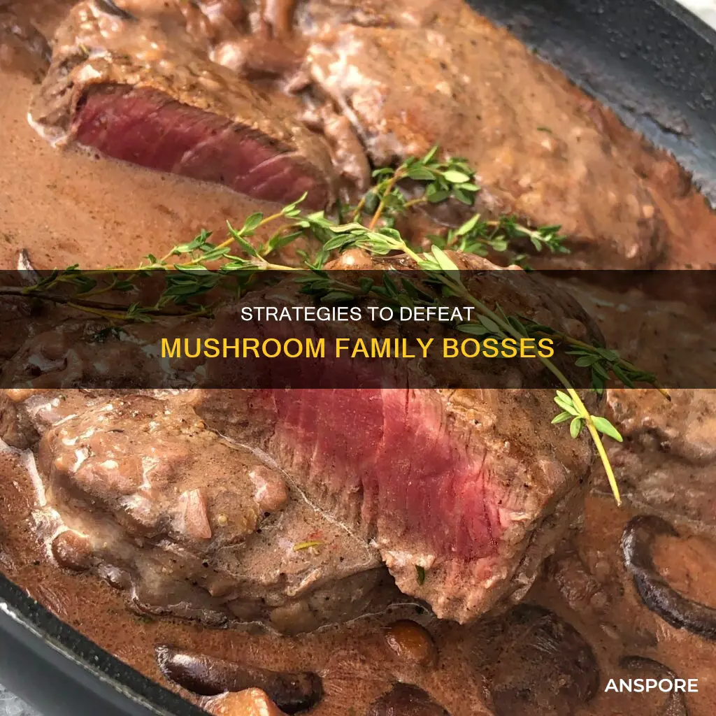 how to beat mushroom family bosses