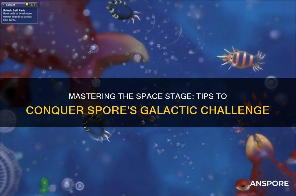 how to beat space stage in spore