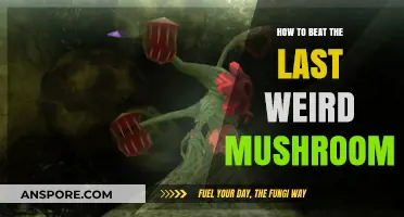 Conquering the Last Weird Mushroom: Strategies for Victory