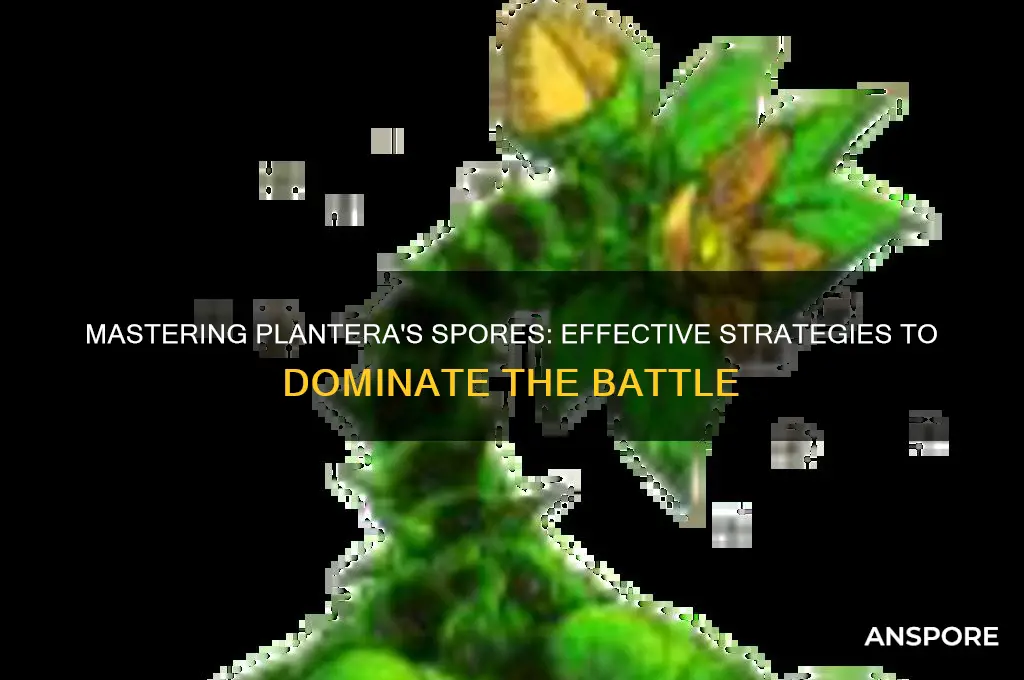 how to beat the spores of planterra
