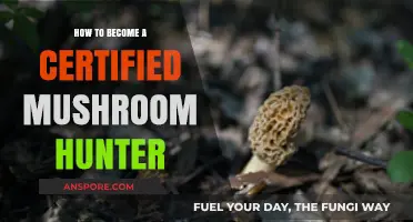 Mushroom Hunting: Get Certified and Start Foraging