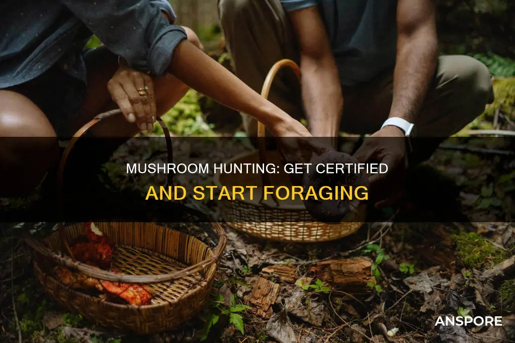 how to become a certified mushroom hunter
