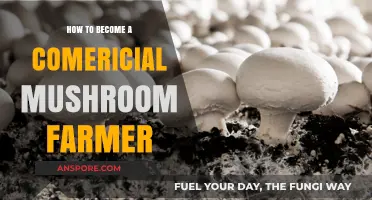 Growing Mushrooms: A Guide to Commercial Farming