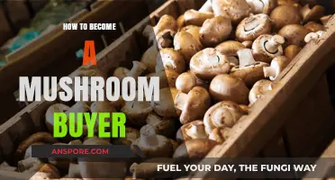 Mastering Mushroom Procurement: A Guide to Becoming a Skilled Buyer