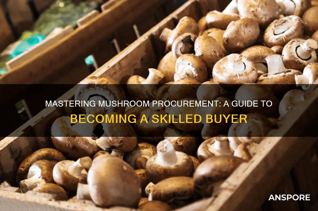 how to become a mushroom buyer