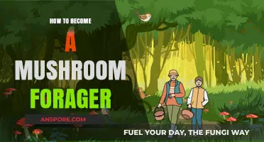 Mushroom Foraging: A Beginner's Guide to Getting Started