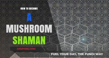 Mushroom Shamanism: A Guide to Becoming a Practitioner