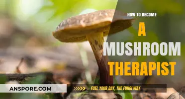 Exploring the Path to Becoming a Mushroom Therapist