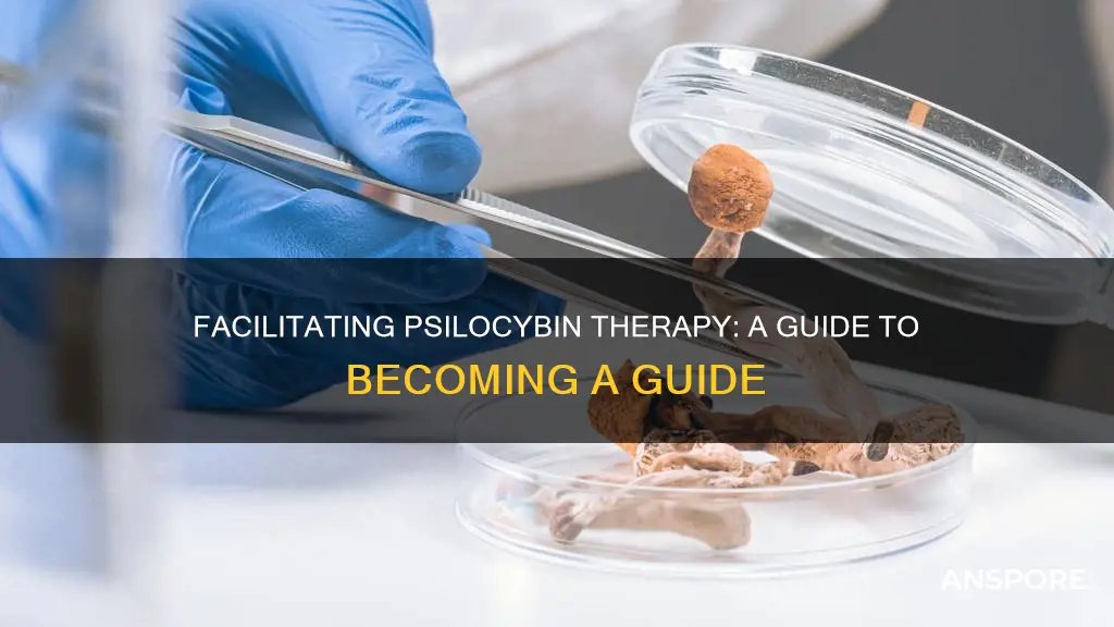how to become a psilocybin mushroom therapy facilitator