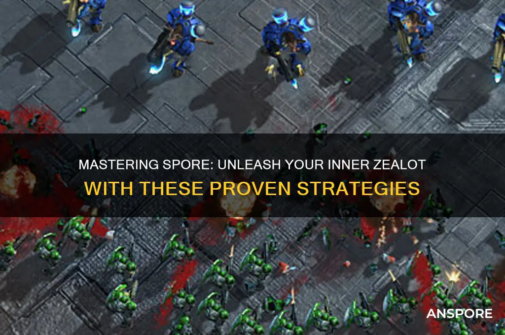 how to become a zealot in spore
