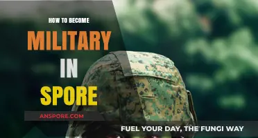 Join Singapore's Military: A Step-by-Step Guide to Enlistment and Service
