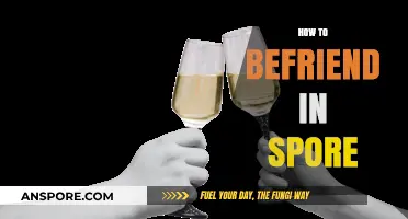 Mastering Social Connections: A Guide to Befriending in Singapore