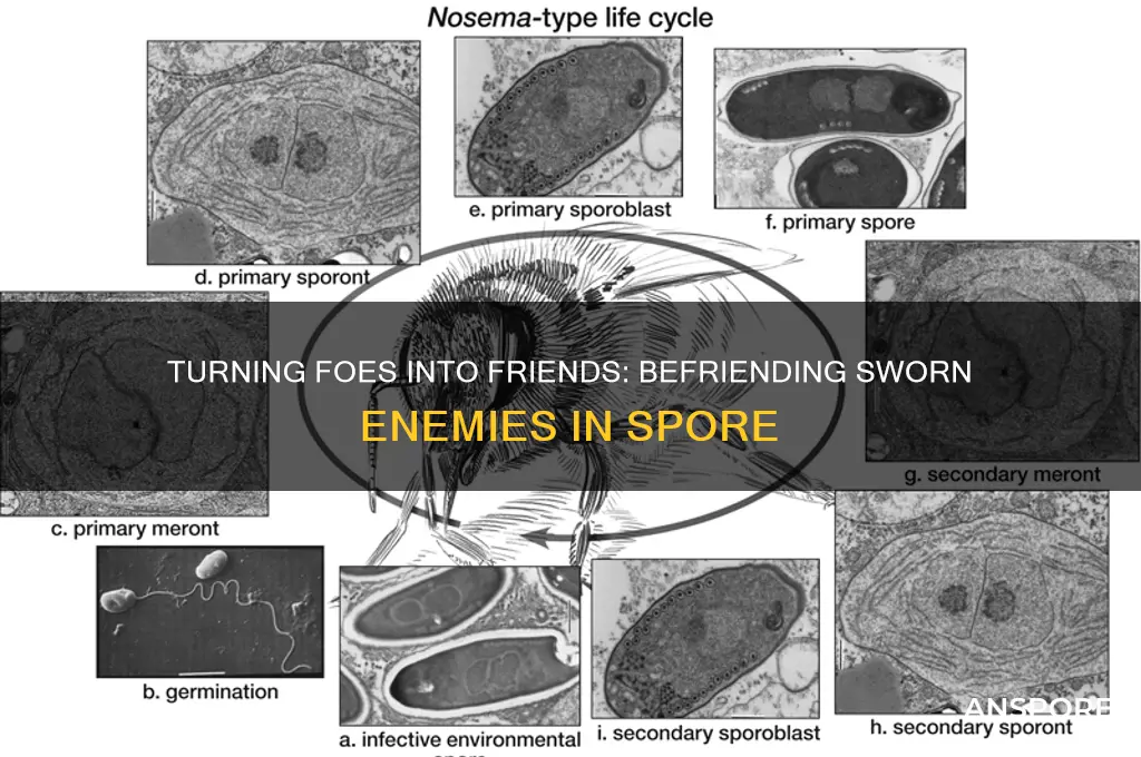 how to befriend sworn enemies on spore