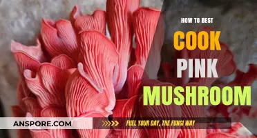 Mastering the Art of Cooking Perfectly Tender Pink Mushrooms