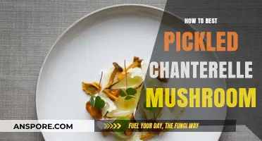 Pickling Chanterelles: A Step-by-Step Guide to Perfection