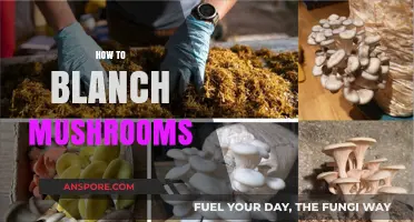 Blanching Mushrooms: A Quick Guide to Doing It Right