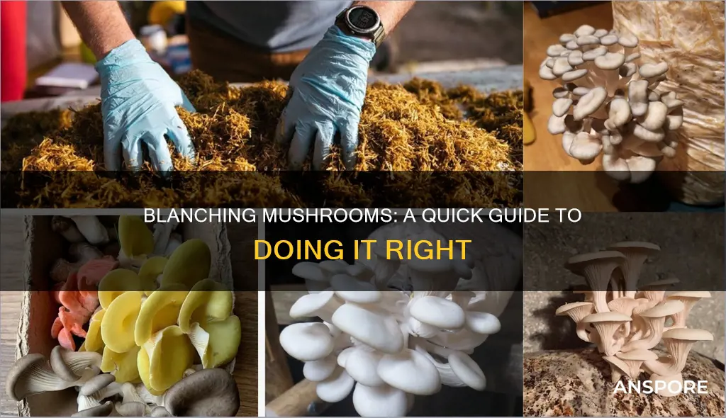 how to blanch mushrooms