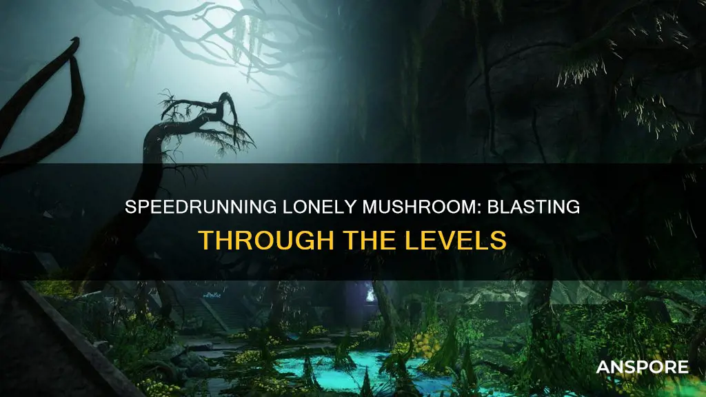 how to blast to the lonely mushroom speedrun