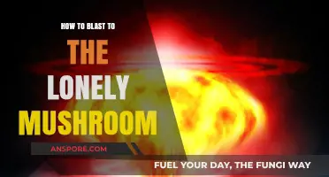 Navigating the Lonely Mushroom: Blasting Off with a Guide