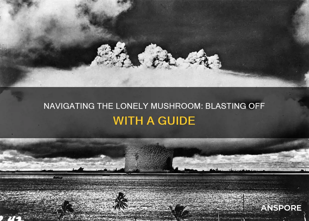 how to blast to the lonely mushroom